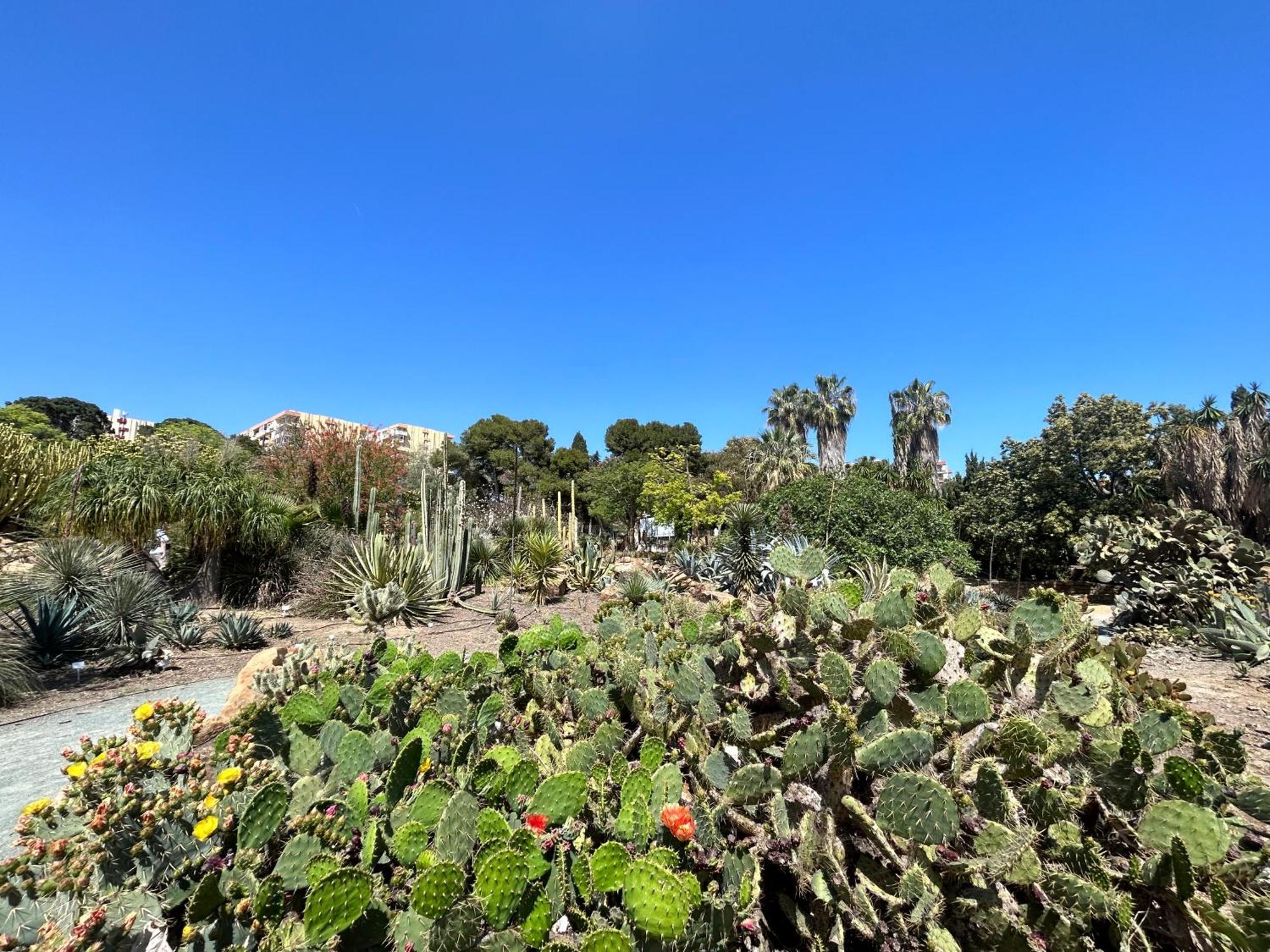 Acogedor Apartamento En Benalmadena Vistas Zewnętrze zdjęcie